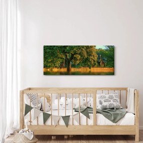 Tablou cu girafe în natură (120x50 cm)
