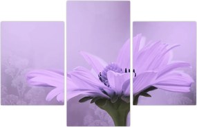 Tablou - Flori mov (90x60 cm)