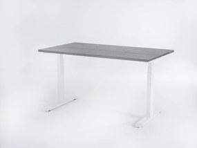 Viva Smart 2.0, Birou reglabil electric cu două motoare electrice - Premium - 1600x800x25 - Logan - Alb