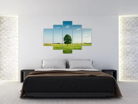 Tablou cu copaci pe luncă (150x105 cm)