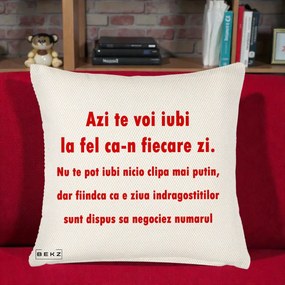 Cadou pentru Iubita - Perna Personalizata Azi Te Voi Iubi, 40x40 cm, Crem Reliefat, Husa Detasabila, Perna Inclusa, BEKZ®