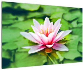 Tablou - Nuferi pe apă (90x60 cm)