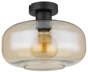Lustră aplicată GIUSEPPE 1xE27/40W/230V transparent Globo 15566DA