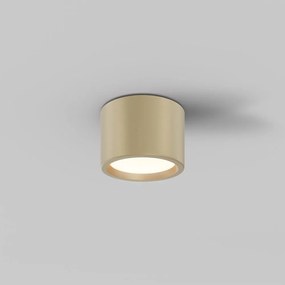 Spot LED aplicat cu protectie IP44 Hydra D-10,5cm auriu