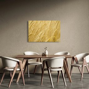 Tablou - Orz (90x60 cm)