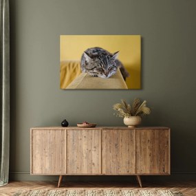 Tablou cu pisica pe fotoliu (90x60 cm)