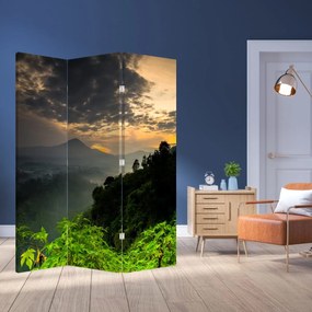 Paravan - Peisaj montan verde (126x170 cm)