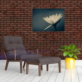 Tablou cu flori (70x50 cm)