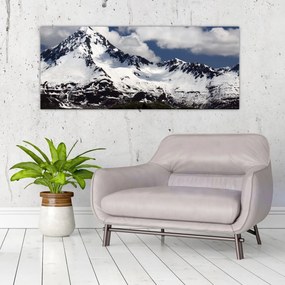 Tablou - Parcul Național Kenai Fjords (120x50 cm)
