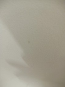 OFERTA Scaun de masă OSAKA din plastic, bej II. calitate