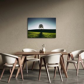Tablou cu natura - copac (70x50 cm)
