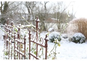 Suport pentru plante din metal Lilly – Esschert Design