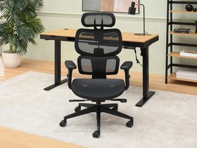 Scaun Horst (negru). Promo -24%. 1110509