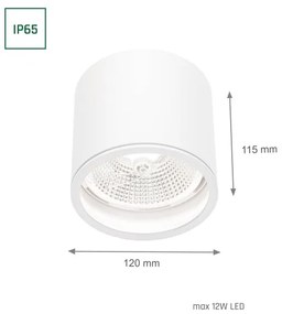 Spot pentru baie CHLOE AR111 1xGU10/12W/230V IP65 alb rotund