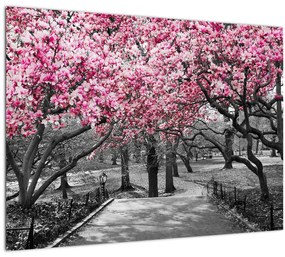 Tablou pe sticlă copacului magnolie (70x50 cm)