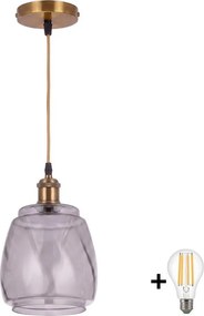 BRILAGI - LED lustră pe cablu RETRO GLASS 1xE27/60W/230V Ø 26 cm auriu/gri fumuriu