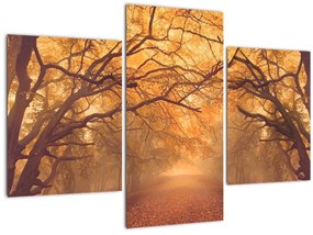 Tablou - Peisaj de toamnă cu drum (90x60 cm)