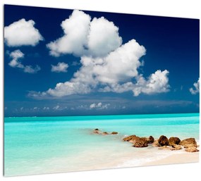 Tablou -  Plaja tropică (70x50 cm), în 40 de alte dimensiuni noi
