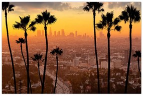 Tablou - Panorama din Los Angeles (90x60 cm)