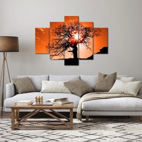 Tablou - Fag la apus de soare (150x105 cm)