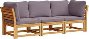 vidaXL Set mobilier de grădină cu perne, 3 piese, lemn masiv acacia