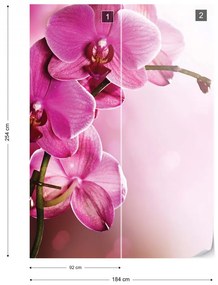 Pink Orchids Flowers Photo Wallpaper Wall Mural