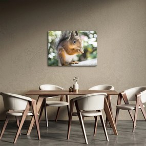 Tablou cu veverița (70x50 cm)