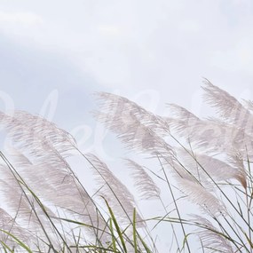 Fototapet, Windy Reed, Rebel Walls