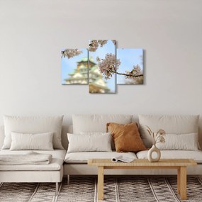 Tablou - Sakura (90x60 cm)