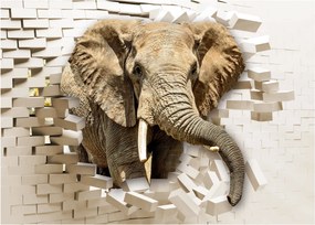 Tablou pe sticlă - Elefant spârgând peretele (70x50 cm)