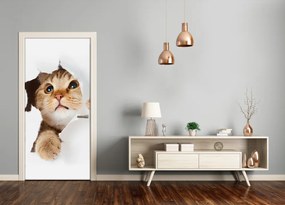 Autocolante pentru usi pisică de perete
