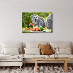 Tablou cu lemur (90x60 cm)