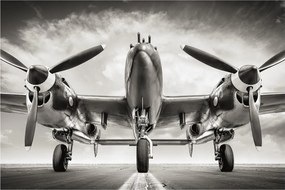 Tablou - Warbird (90x60 cm)