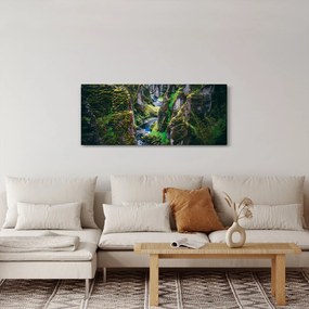 Tablou - Râu într-o vale stâncoasă (120x50 cm)