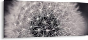 Tablou cu păpădie (120x50 cm)