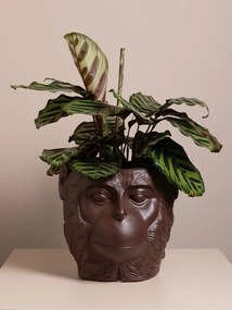 Vas decorativ din ceramică ⌀ 18 cm, „Primate”