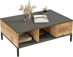 Masuta cafea RL2-AA, gri/stejar, PAL melaminat, 90x60x33 cm