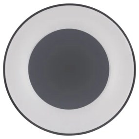 Leuchten Direkt 14326-18 - Lumină de tavan cu LED ANIKA LED/30W/230V + telecomandă