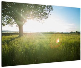 Tablou cu lunca în vară (90x60 cm)