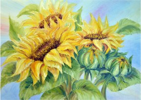 Tablou - Floarea soarelui înflorită (70x50 cm)