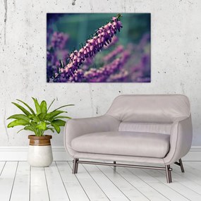 Tablou cu floare violetă (90x60 cm)