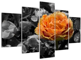 Tablou cu floare (150x105 cm)