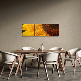 Tablou - Floarea-soarelui (cu ceas) (90x30 cm)