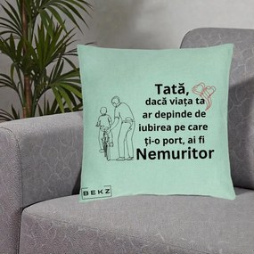 Cadou pentru Tata - Perna Personalizata Tata Nemuritor Bicicleta, 40x40 cm, Verde Menta, Husa Detasabila, Perna Inclusa, BEKZ®