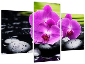 Tablou - Orhidee (90x60 cm)