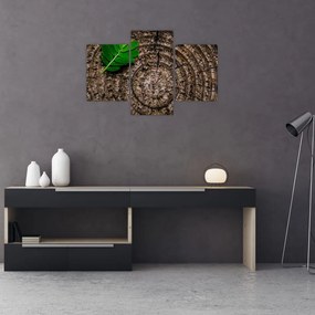 Tablou cu frunză pe trunchi de copac (90x60 cm)