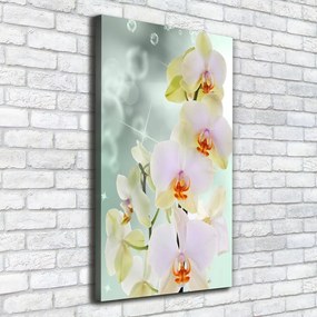 Tablou canvas Orhidee
