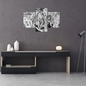 Tablou - Frunze înghețate,alb-negru (90x60 cm)