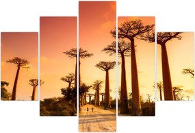 Tablou - Apus de soare pe Aleea Baobabilor (150x105 cm)