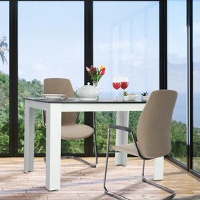 Masa dining, alb negru, 120x80 cm, KRAZ